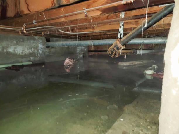 Best 24-hour water damage restoration  in Hazleton, PA