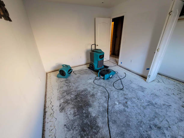 Best Commercial water damage restoration  in Hazleton, PA