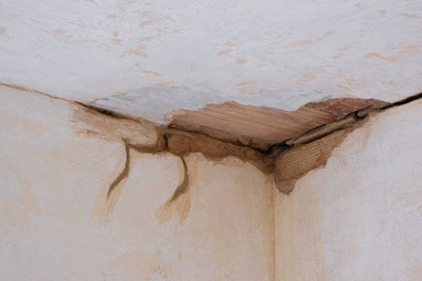 Best Fire Damage Restoration  in Hazleton, PA