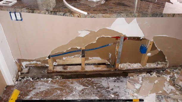 Best Water damage contractors near me  in Hazleton, PA
