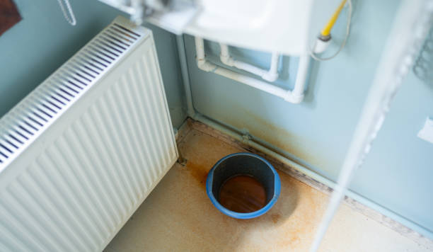 Best Flood damage cleanup  in Hazleton, PA