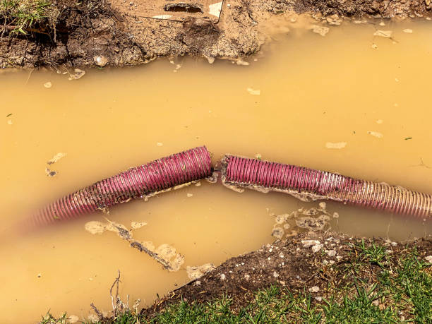Best Water damage cleanup near me  in Hazleton, PA