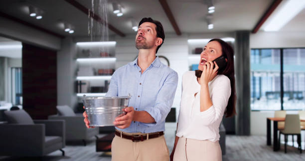  Hazleton, PA Water damage restoration Pros