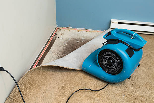 Best Water damage restoration mold remediation  in Hazleton, PA